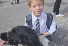Фото - Домашняя собака спасла мальчика от диабетической комы в Британии
