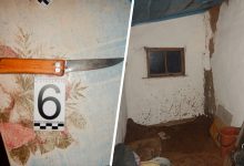 Фото - В Ростовской области 19-летний сын зарезал мать ножом и спрятал тело в доме под полом